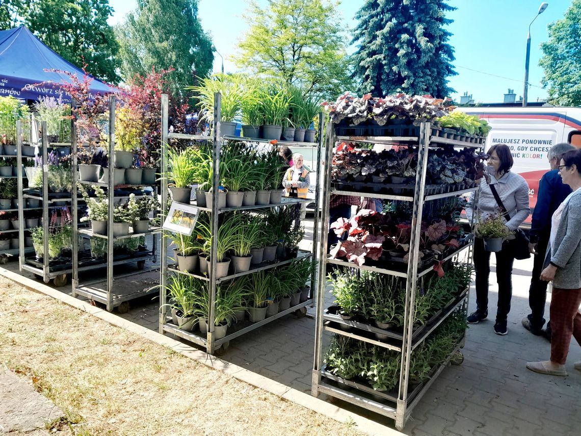 Przynieśli niepotrzebne elektroodpady, odebrali sadzonki roślin miododajnych. Kolejna miejska ekoakcja udana