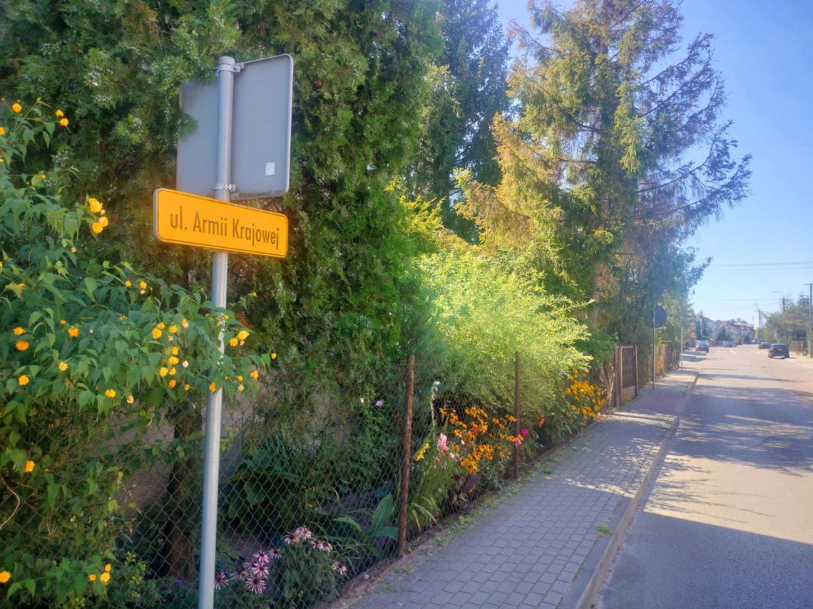 Radny składa wniosek o postawienie fotoradaru na jednej z ulic w Płońsku