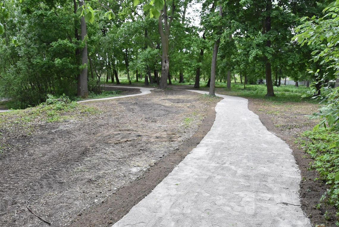 Rewaloryzacja zabytkowego parku podworskiego w Poświętnem zakończona