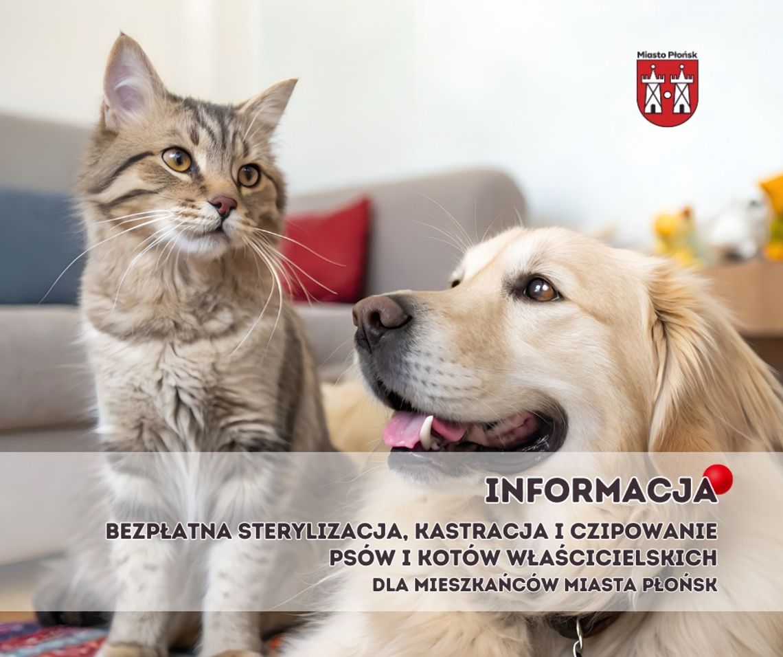 Rusza program sterylizacji i kastracji w Płońsku