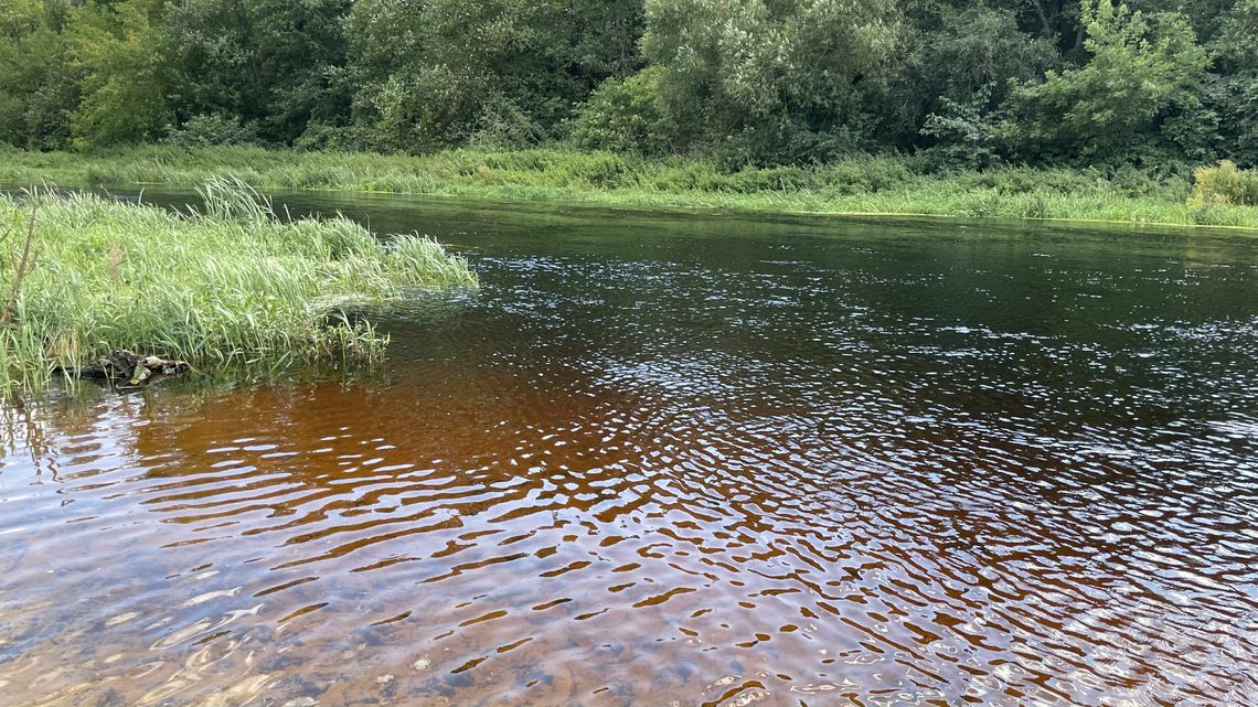 Są wyniki badań wody we Wkrze. Sytuacja monitorowana w powiecie płońskim
