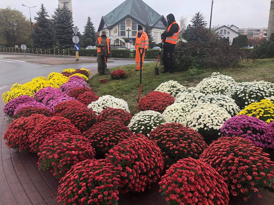 Samorządy wspierają przedsiębiorców handlujących kwiatami