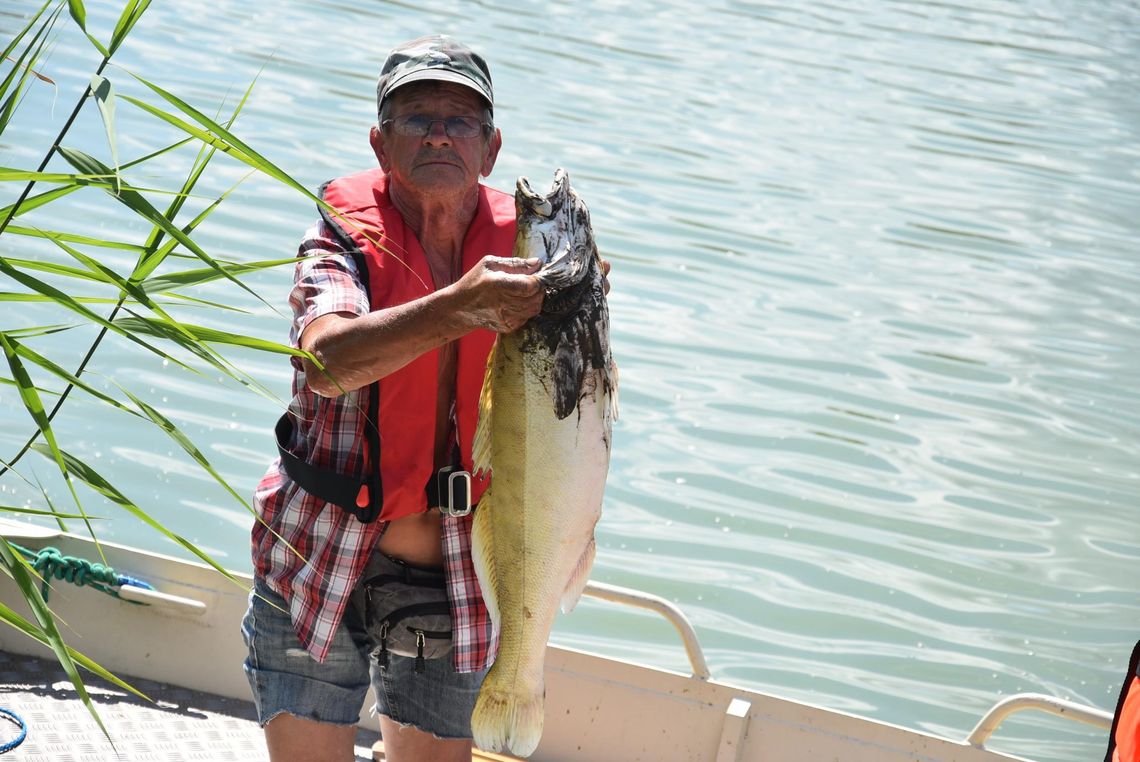 Setki śniętych ryb na Rutkach Setki śniętych ryb na Rutkach