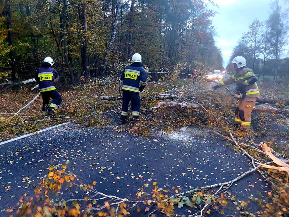 Silny wiatr zrywał dachy i przewracał drzewa w powiecie sierpeckim