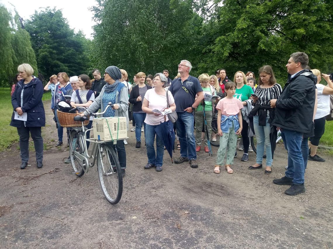  Spacer dendrologiczny po miejskim parku. Ekspert opowiadał o drzewach