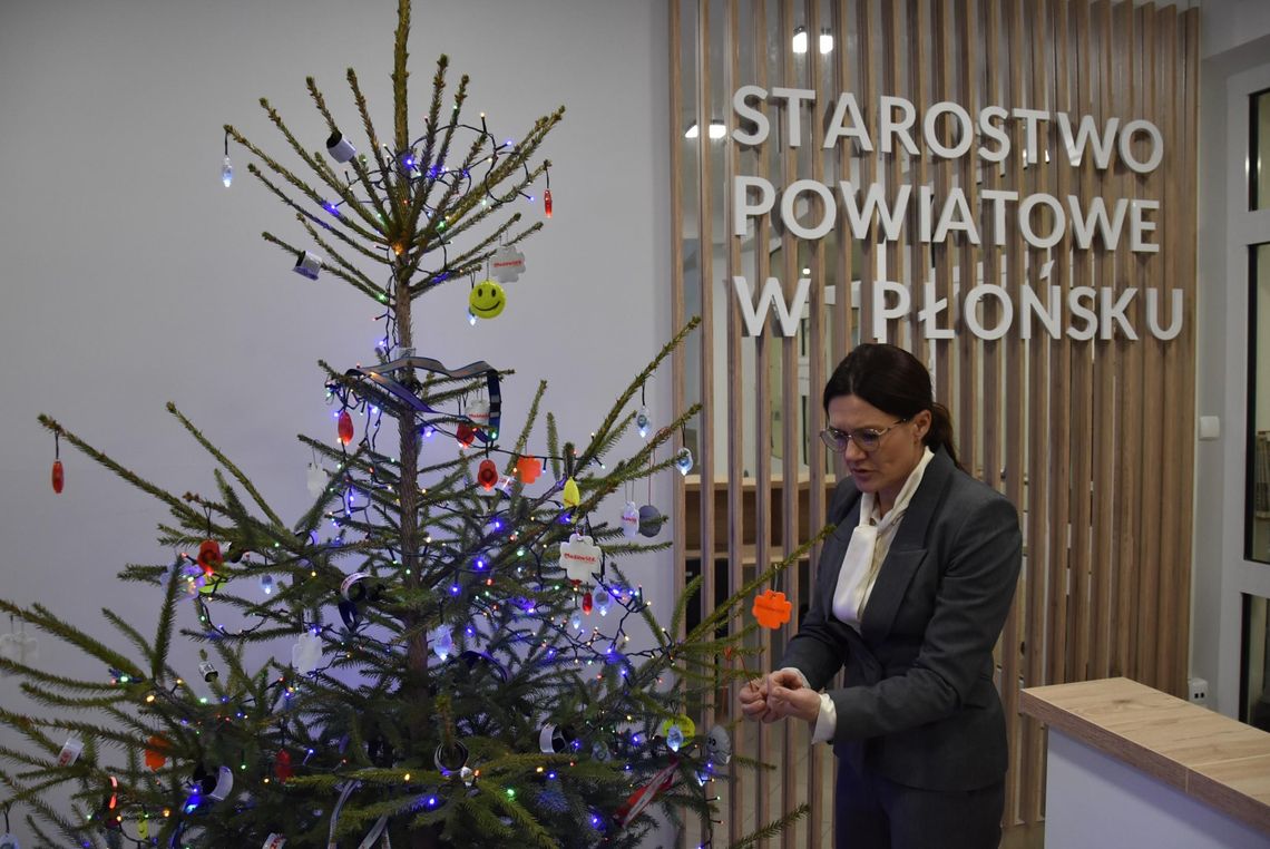 Starosta ubrała choinkę, rozbiorą ją mieszkańcy Starosta ubrała choinkę, rozbiorą ją mieszkańcy