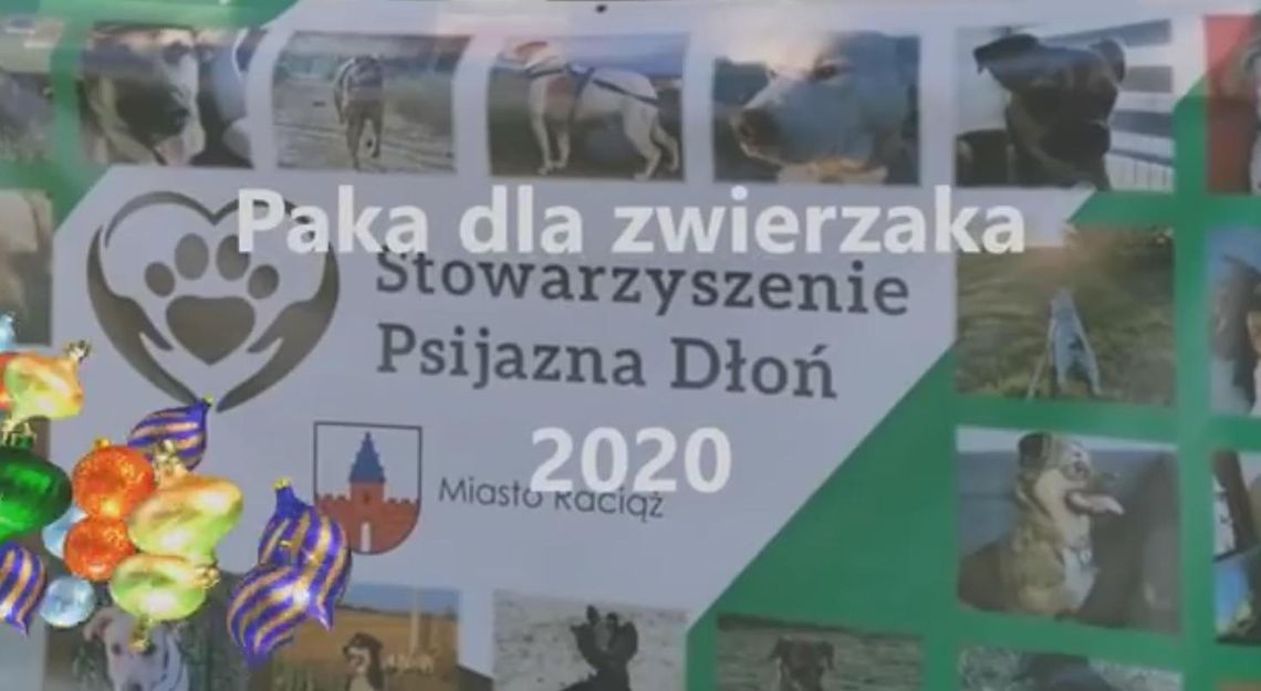 Świąteczna paka dla zwierzaka 2020