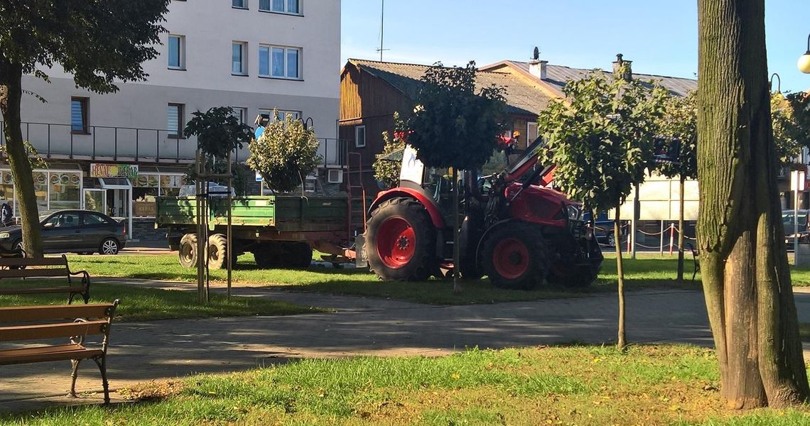 Trwa rewitalizacja małego parku 