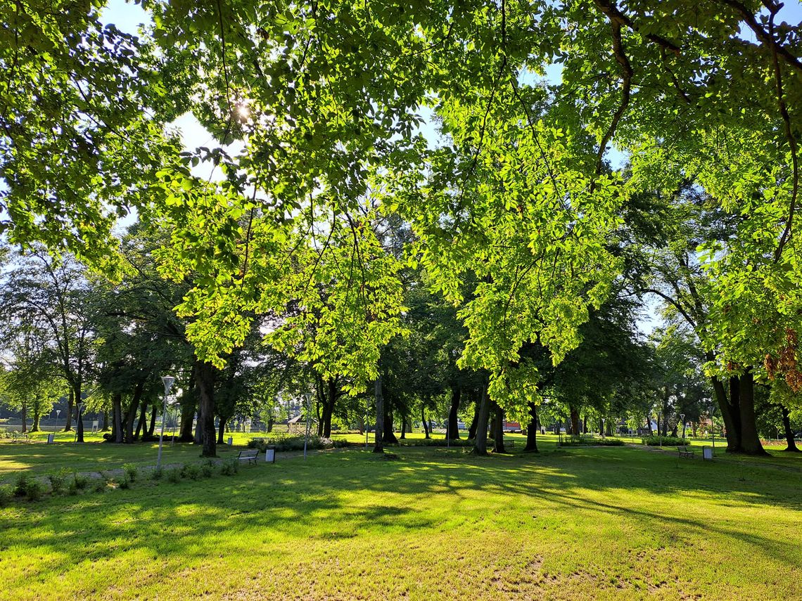 W czynie społecznym wysprzątają park w Kroczewie