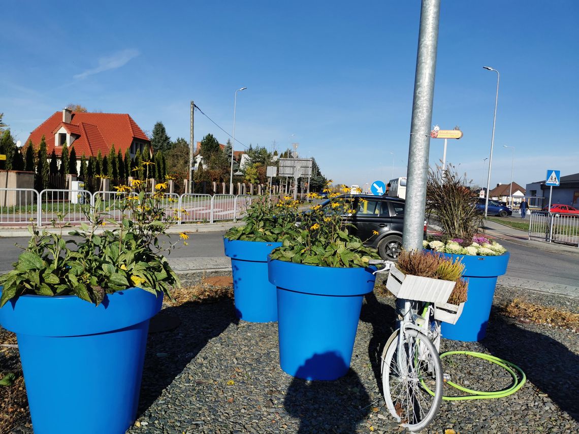 W Płońsku przybędzie ponad 2 tys. roślin. Powstanie nowa łąka kwietnia