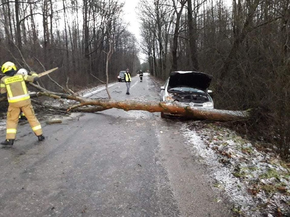 Wichura w regionie. Wiatr zrywał dachy i wyrywał drzewa z korzeniami