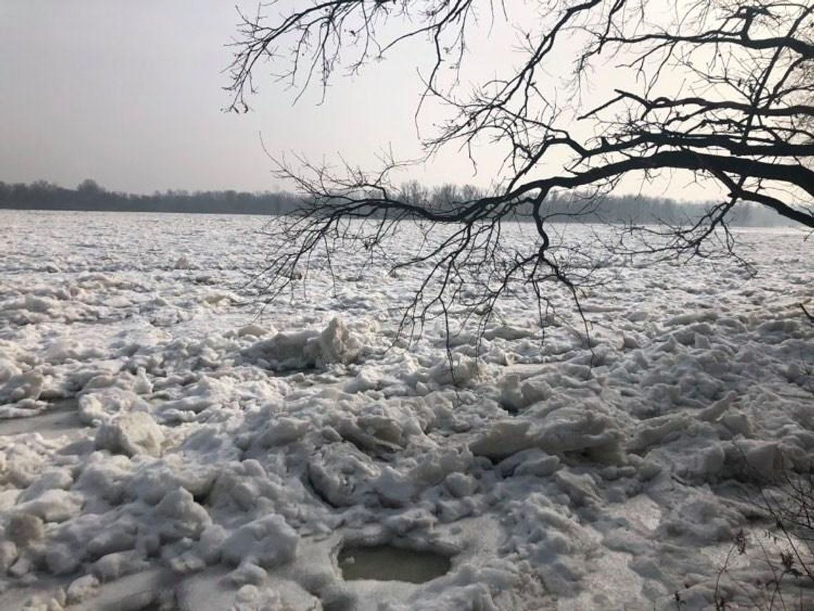 Wisła nie powiedziała jeszcze ostatniego słowa. Czy dojdzie do ewakuacji mieszkańców?