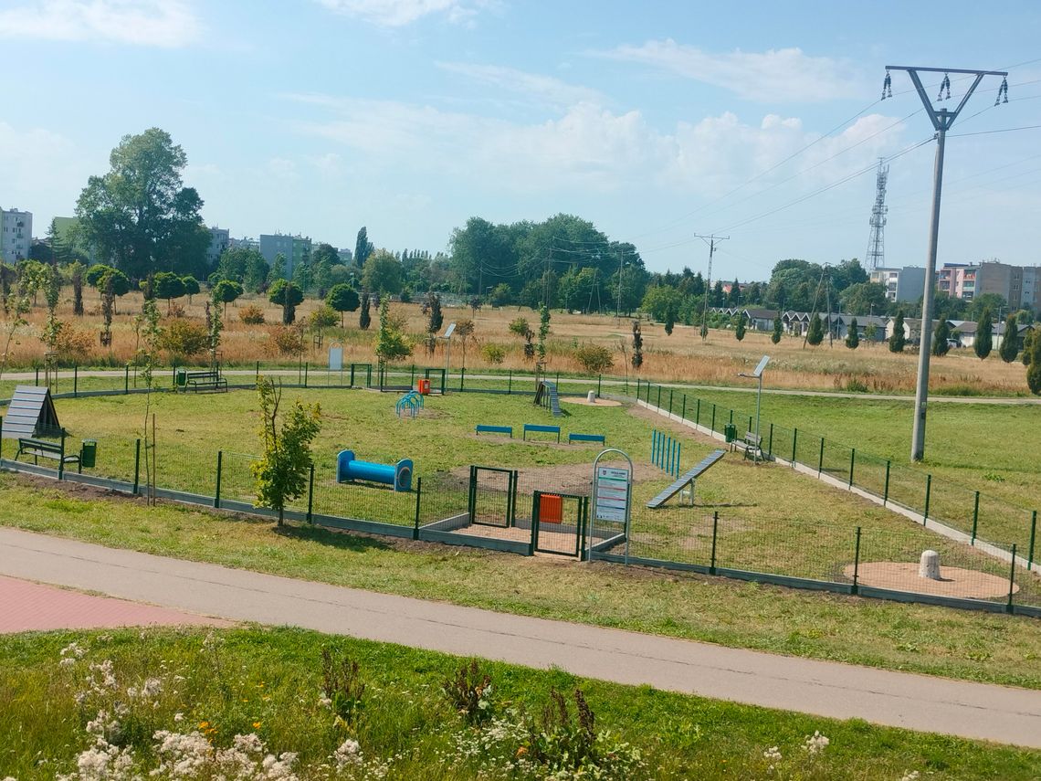 Wybieg dla psów przy ul. Żołnierzy Wyklętych jest już gotowy. Wkrótce otwarcie Wybieg dla psów przy ul. Żołnierzy Wyklętych jest już gotowy. Wkrótce otwarcie