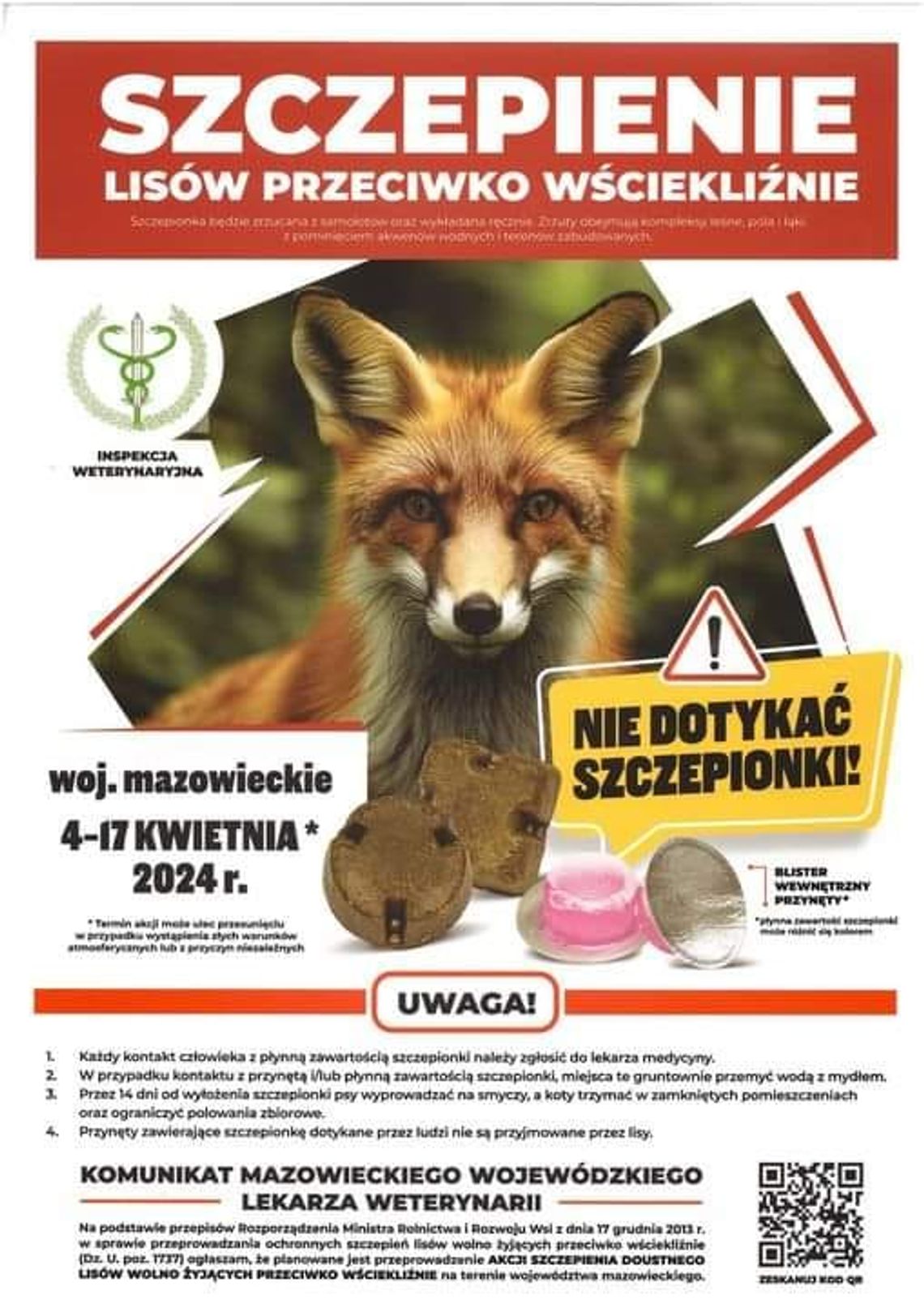 Zabezpieczcie zwierzęta. Trwają zrzuty szczepionki dla lisów