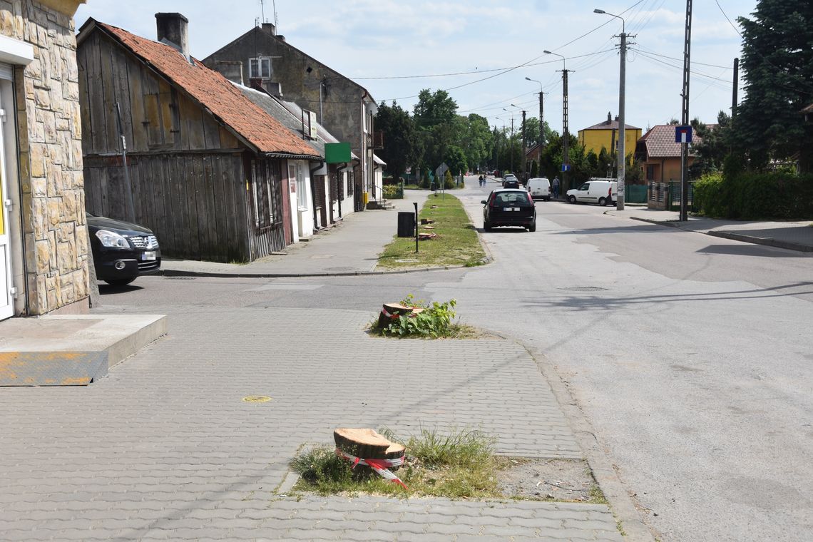 "Zafundowano nam asfaltowo-betonową pustynię" - wycinka drzew w Sochocinie