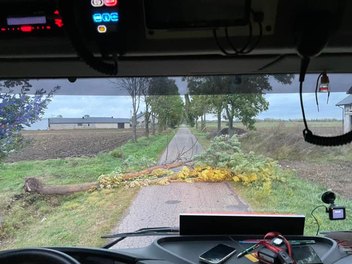 Zagrzmiało i powiało w regionie. Liczne interwencje i masowa awaria prądu