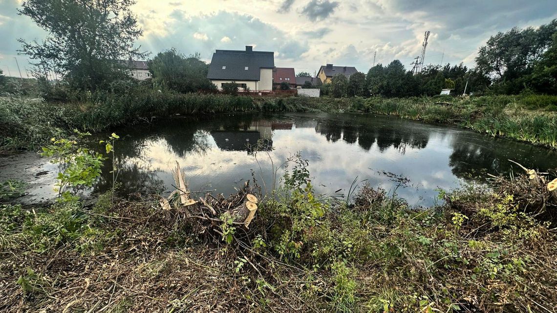 Załuski: ruszyły prace przy stawie – będzie nowy teren zielony i niespodzianka