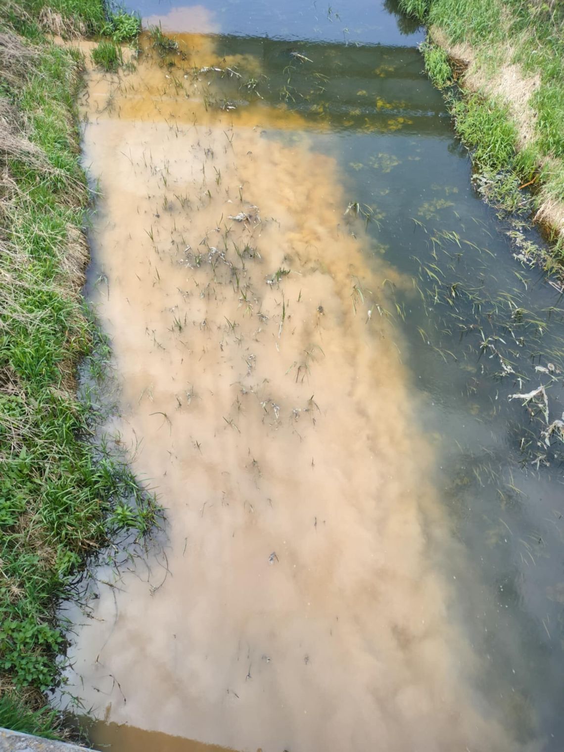Zanieczyszczenie rzeki w Płońsku po awarii spowodowanej przerwaniem wodociągu