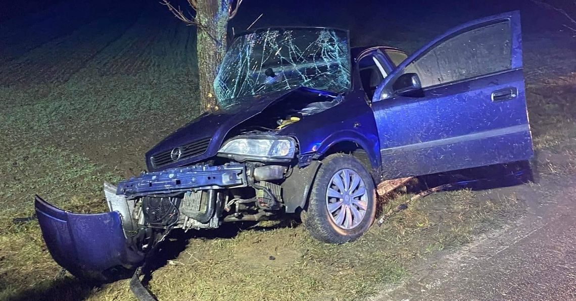 Zjechała do rowu i uderzyła w drzewo. Kierująca oplem przewieziona do szpitala