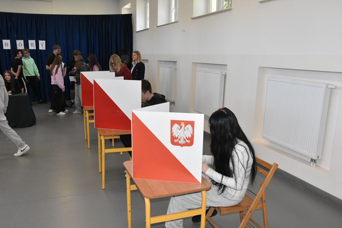 Znamy nazwiska uczniów z Młodzieżowej Rady Miejskiej w Płońsku