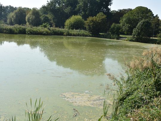 Niepokojący widok i zapach na Rutkach