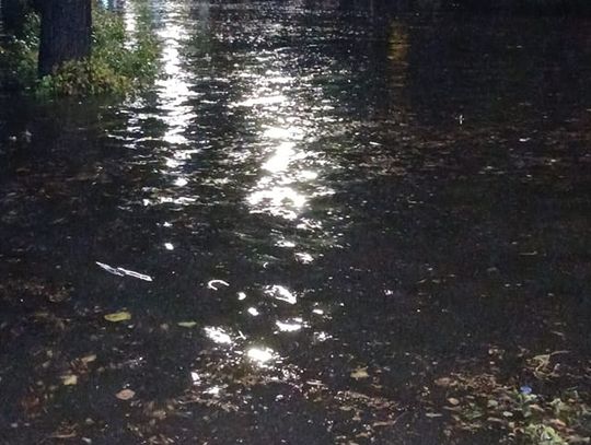 Burza w powiecie płońskim