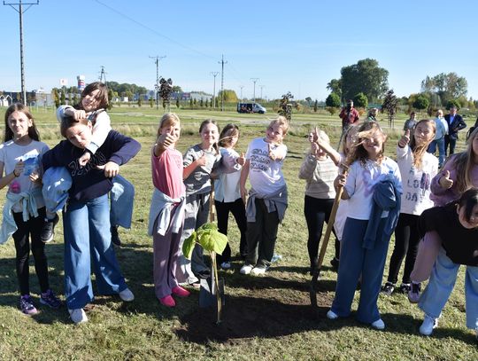 Dzień drzewa w Płońsku