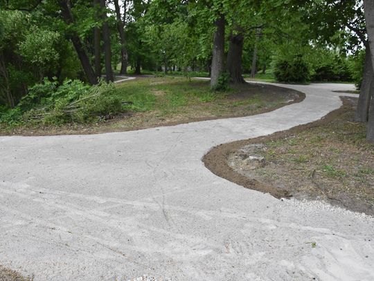 Prace w parku na Poświętnem