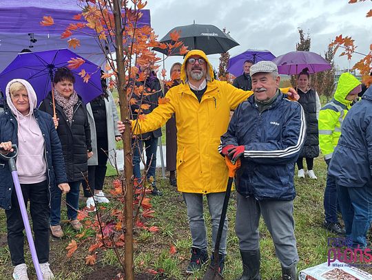 49 drzew na 49-lecie Mondelez w Płońsku