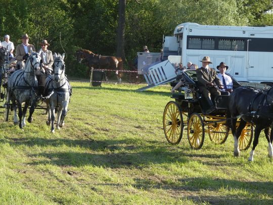Budowa zbiornika wodnego „Kraszewo"